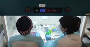 U. de Chile crea centro de vigilancia para evitar transmisión de enfermedades entre animales y humanos