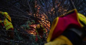 Incendios Forestales: más allá del cambio climático