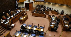 Llega al Senado proyecto que prohíbe testeo en animales para fines cosméticos