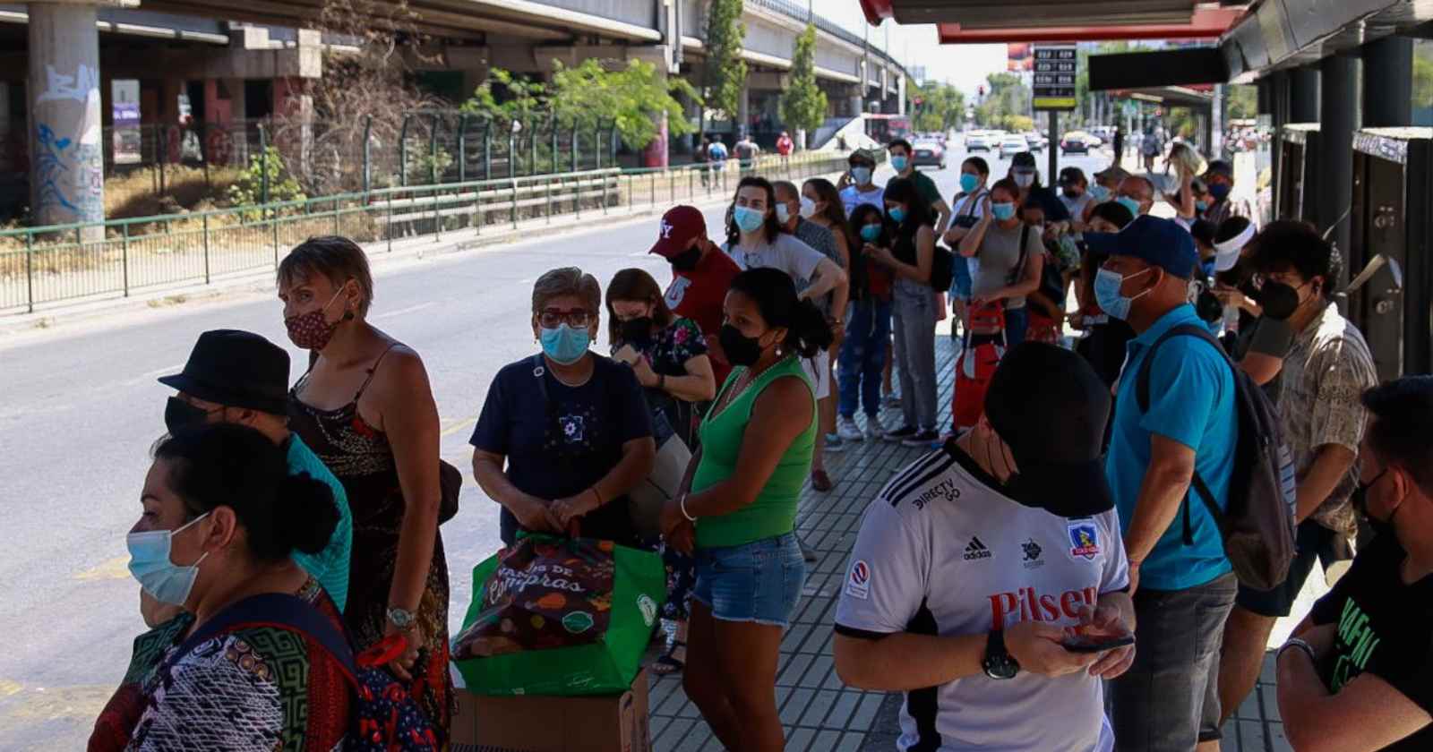 cantidad buses
