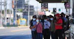 Doctor en Transportes: 