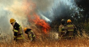 Radiografía al incendio en Quillón: 1.300 hectáreas de vegetación arbórea fueron afectadas