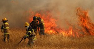 Onemi reportó 19 incendios forestales activos en todo el país