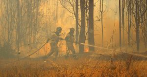 Ministerio de Agricultura: se han reportado 179 incendios activos en todo el país