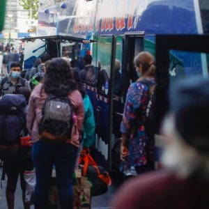 choferes buses cocaína