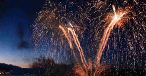 Consecuencias de los despliegues pirotécnicos de fiestas de fin de año en el bienestar de animales