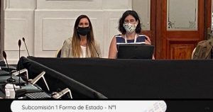 Escuelas Abiertas expuso ante la Convención Constitucional su propuesta para una 