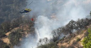 Incendio forestal en Los Sauces y Angol ha consumido más de 9 mil hectáreas