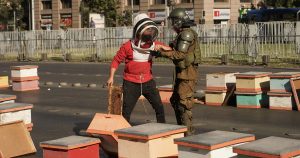 Apicultores dejaron colmenas con 10 mil abejas frente a La Moneda
