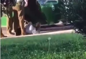 Fiscalía investiga a carabinero por abuso tras lanzar al piso a menor detenida