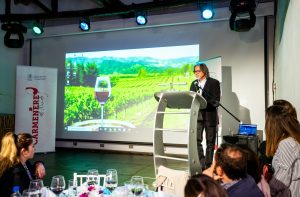 Carmenère Al Mundo: aún es posible inscribirse para el concurso que elegirá al mejor exponente del país