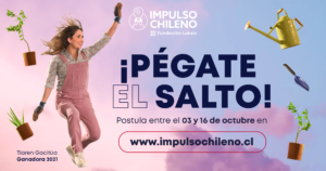 ¿Eres emprendedor y necesitas financiamiento? Conéctate a Live de EL DÍNAMO y entérate sobre cómo postular al programa Impulso Chileno
