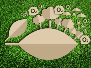 Startup chilena ayuda a empresas a medir su huella de carbono y así mitigar su impacto medioambiental