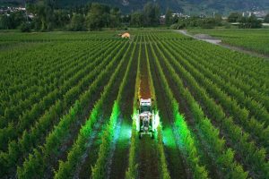 Innovación y sustentabilidad en la industria del vino: las nuevas tecnologías que arriban de la mano de Grupo Partner