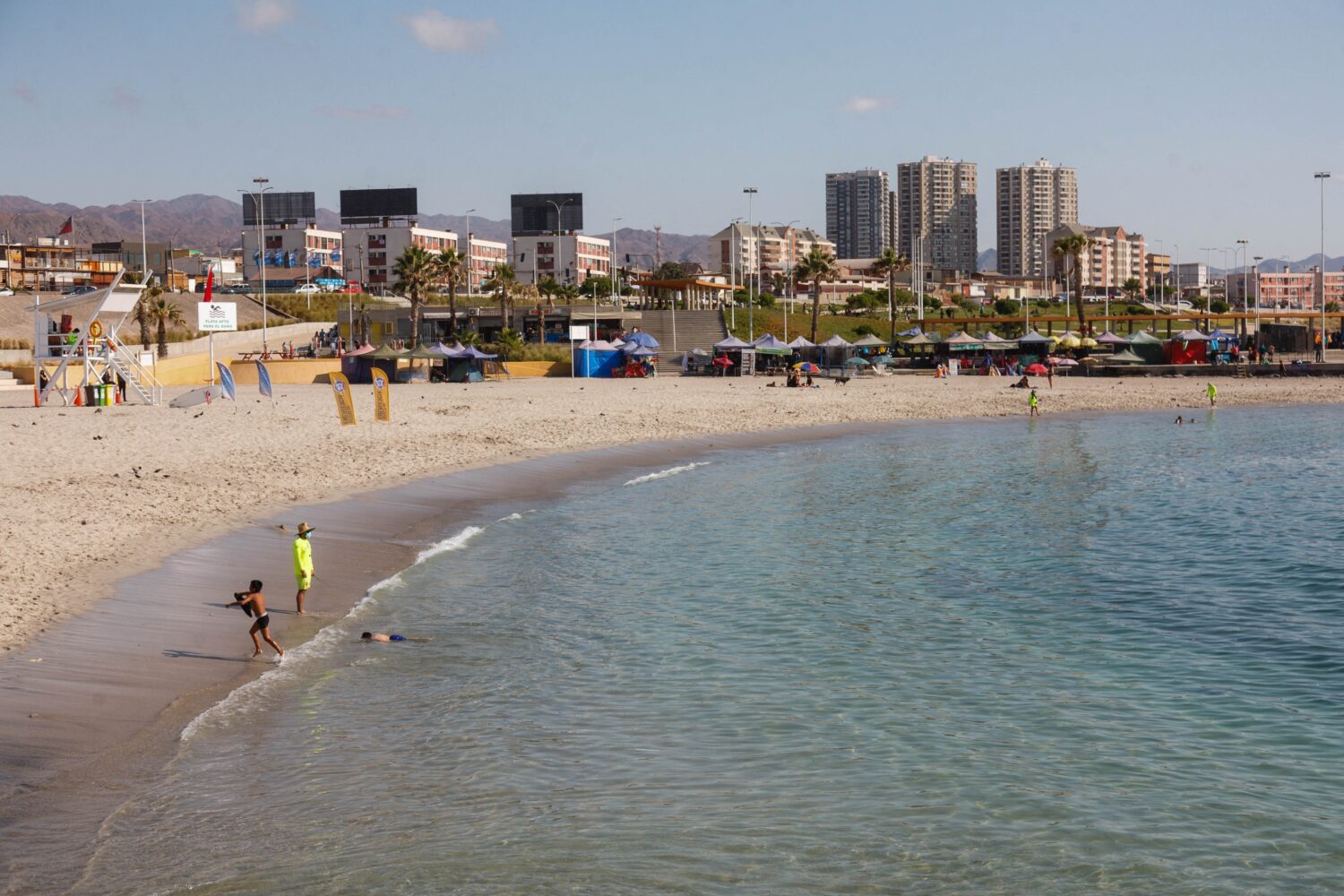 Los registros de la costa chilena tras tsunami en Tonga