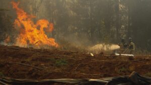Declaran Alerta Roja en Valparaíso por incendio forestal en Reserva Nacional del Lago Peñuelas