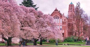 Unesco reconoce a startup Edtech u-Planner por su aporte en educación y sostenibilidad