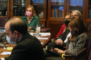 Comisión de Trabajo del Senado aprueba PGU con indicaciones del gobierno