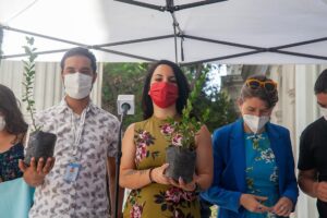 Convención aprueba en general primera propuesta de norma para 