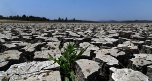 Las altas temperaturas y la sequía nos están acorralando