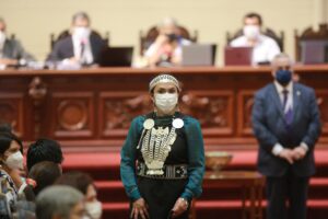 Convención aprueba en general norma que declara a Chile como estado plurinacional e intercultural