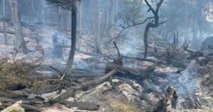 Tierra del Fuego: incendio forestal amenaza los bosques y especies de Parque Karukinka