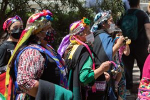 Comisión aprueba en general crear tribunales especiales para los pueblos originarios