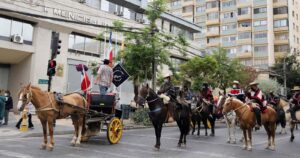 Viña del Mar: alcaldesa Ripamonti acusó “falta de voluntad” de cocheros de victorias