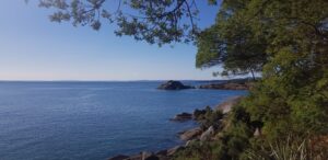 El video del escandaloso momento en que una mujer amenaza con un arma en Playa Metri