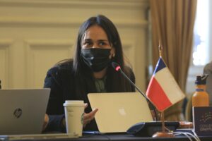 Carol Bown lanzó dura crítica a proceso de la Convención: 