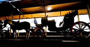 Alcaldesa Macarena Ripamonti pide investigar posible maltrato a caballo de coche victoria