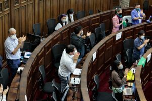 Convención votará norma de Estado regional, plurinacional e intercultural