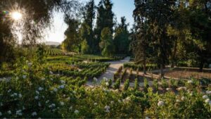 Preferred by Nature: la certificación en sustentabilidad que recibió el Centro Turístico de Viña Concha y Toro