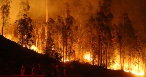 Alerta Roja por incendio forestal en camino La Pólvora de Valparaíso