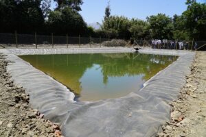 Más de 3 mil pequeños agricultores de Chacabuco y Los Andes han mejorado la gestión del agua gracias a proyectos de INDAP y Anglo American