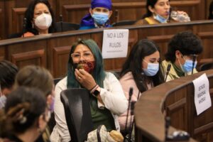 Indigenismo constitucional