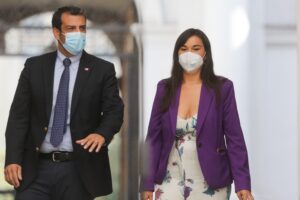 Delgado valoró apertura de Siches a extender estado de excepción en macrozona sur