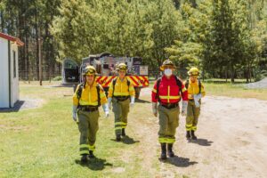 Consuelo Vallejos, integrante de la brigada femenina de CMPC: “No hay nada que las mujeres no podamos hacer”