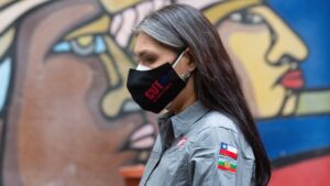 Gobierno confirmó a Bárbara Figueroa como embajadora de Chile en Argentina