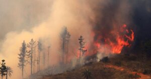 Valparaíso: ordenan evacuación de zonas habitadas por incendio forestal en Laguna Verde
