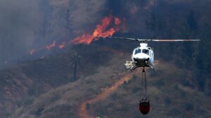 Incendio forestal en Valparaíso ha consumido al menos 40 hectáreas