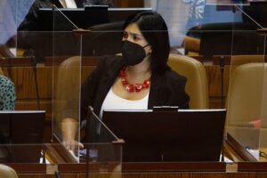 Karol Cariola calificó de 