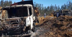 Forestales responden a Winter y lo invitan a conocer la realidad de los trabajadores del sur