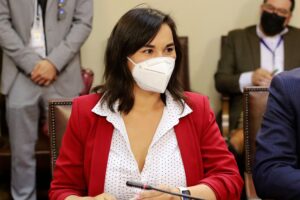 Cómo fue la denuncia de Izkia Siches y la fría reacción de la comisión de Diputados