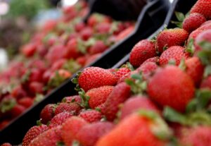 Los 15 alimentos que pueden ayudar a prevenir el cáncer