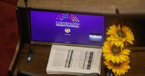 Regulación de bienes naturales comunes: lo que votó el pleno de la Convención