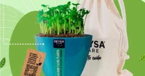 En alianza con UDT de U. de Concepción: emprendimiento fabrica maceteros con mascarillas recicladas