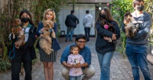 Republicanos lanza proyecto que tipifica como delito el faenamiento de mascotas