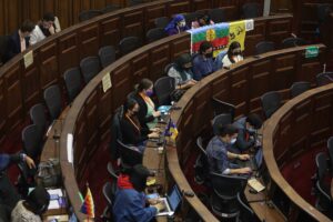 Pleno aprobó sólo uno de los artículos presentados por la Comisión de Derechos Indígenas
