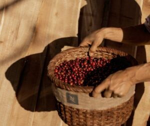 Empresas con presencia en Chile obtienen certificación global en sostenibilidad y responsabilidad social